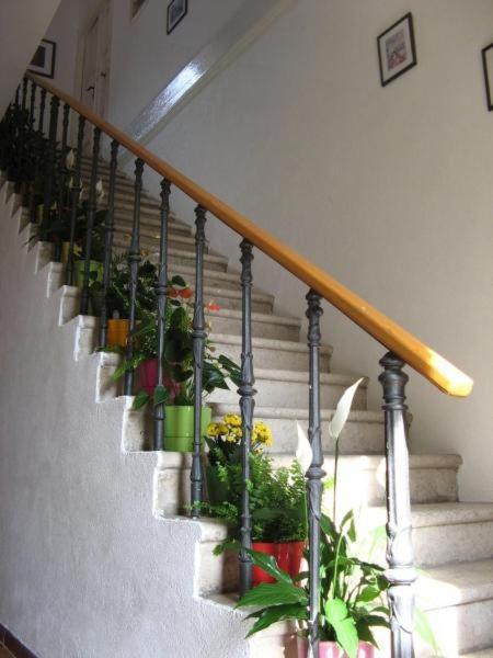House Boninovo (Adults Only) Hotel Dubrovnik Bagian luar foto