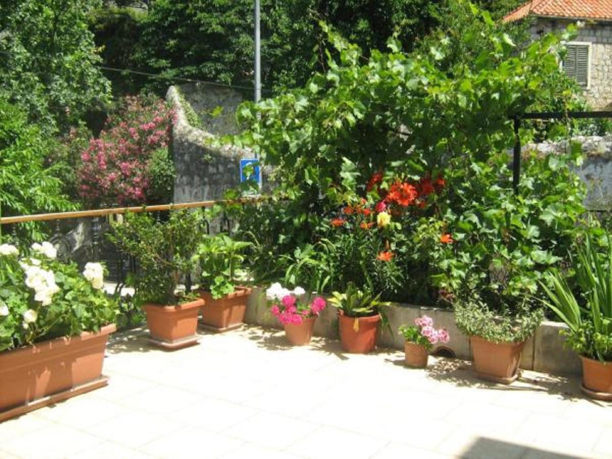 House Boninovo (Adults Only) Hotel Dubrovnik Bagian luar foto